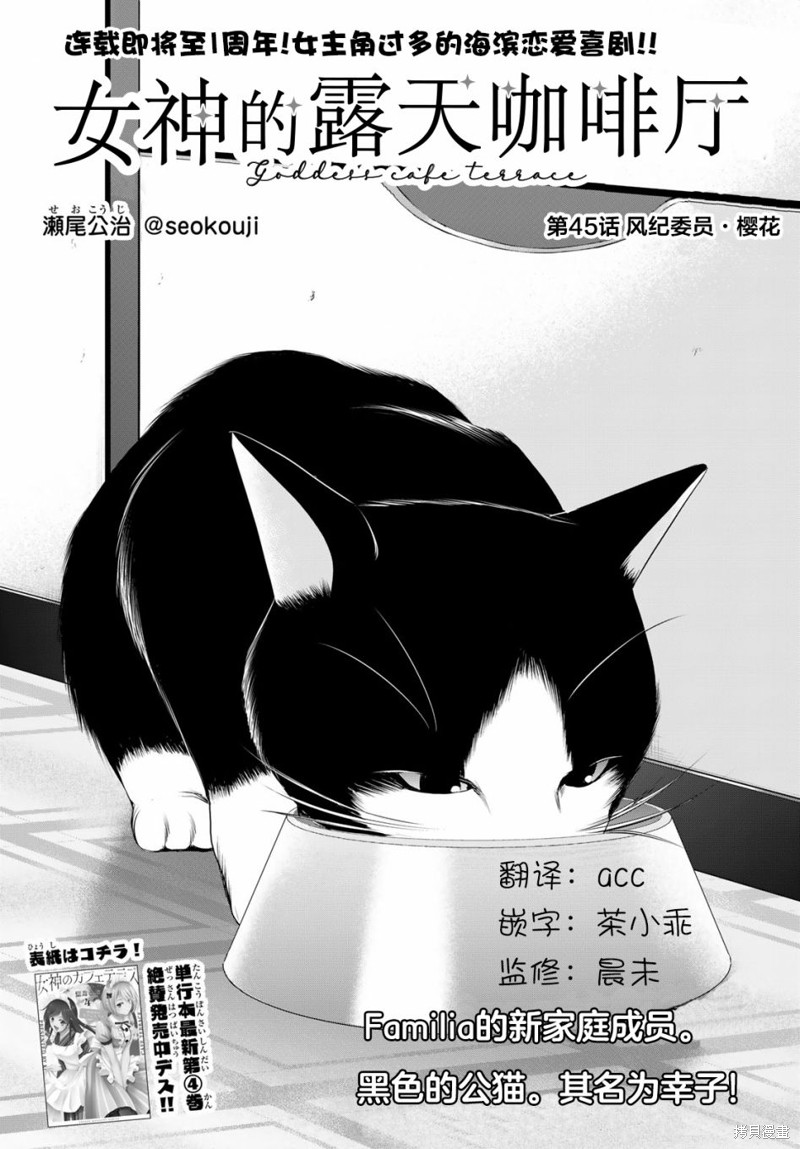 女神的露天咖啡厅漫画45话