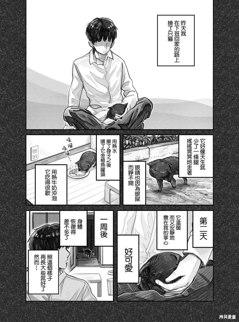 我捡了一只猫漫画01话