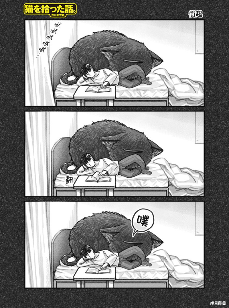 我捡了一只猫漫画09话