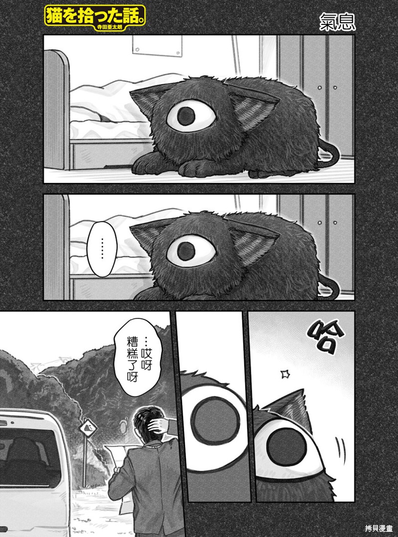 我捡了一只猫 第19话 单击左键进入下一页