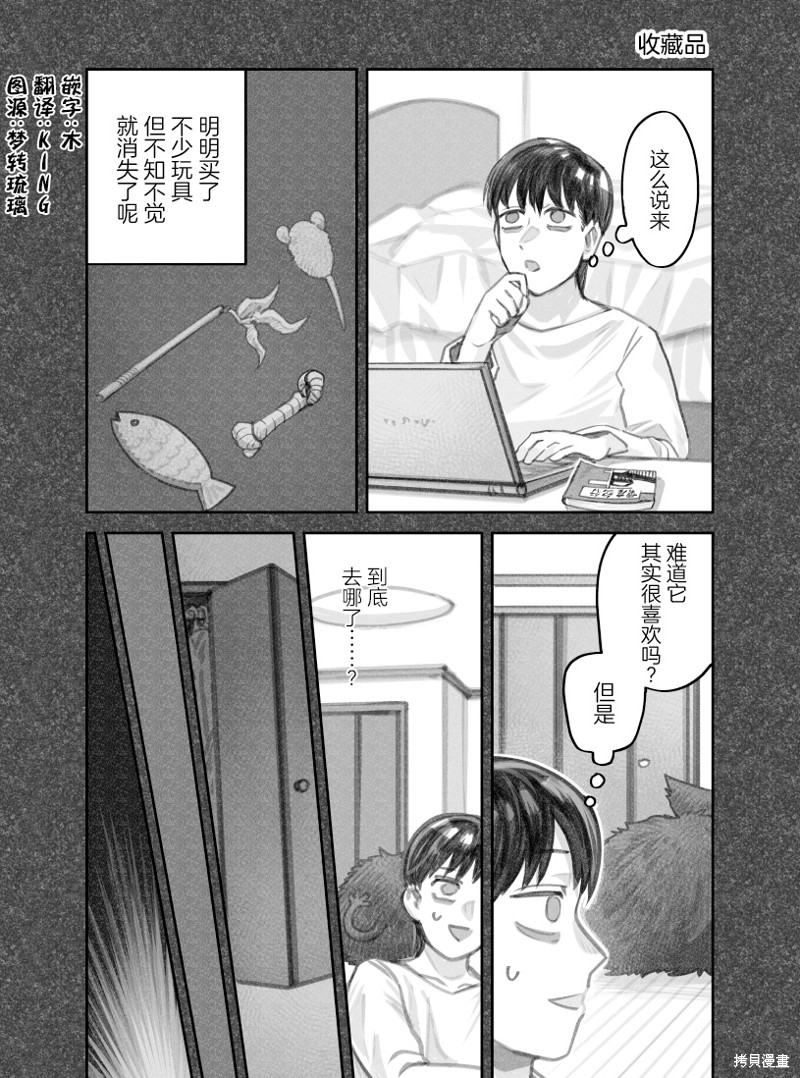 我捡了一只猫 02部17话 单击左键进入下一页