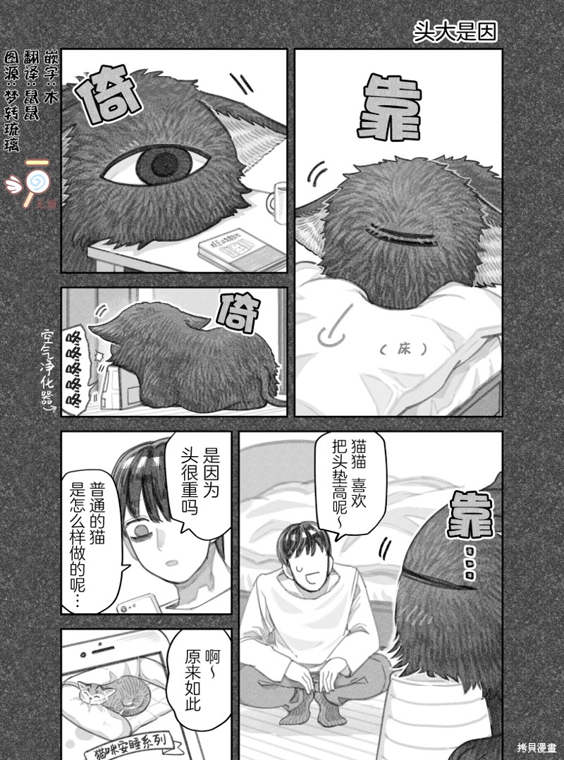 我捡了一只猫 02部24话 单击左键进入下一页