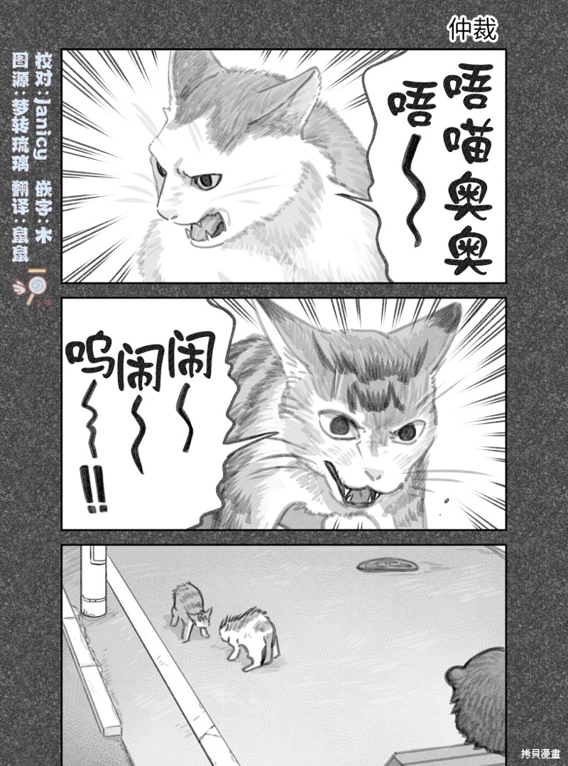 我捡了一只猫 02部48话 单击左键进入下一页