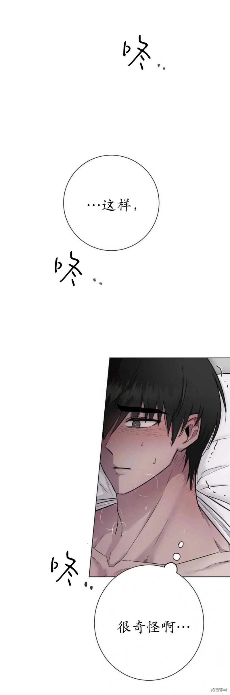 志宇的主人漫画5话