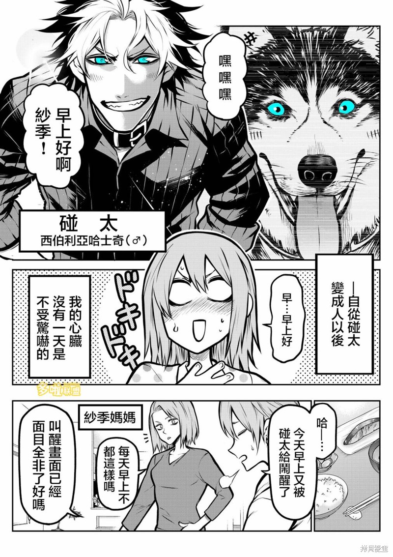 我家碰太变成了人类这件事。漫画07话