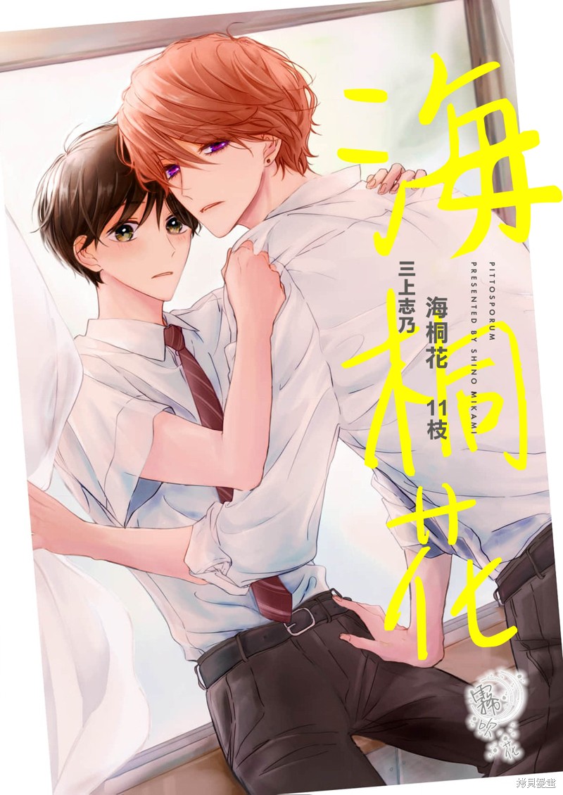 海桐花漫画11话