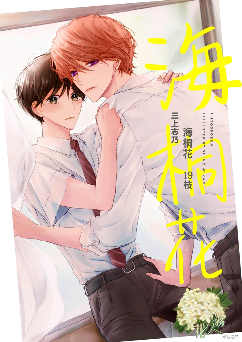 海桐花漫画19话